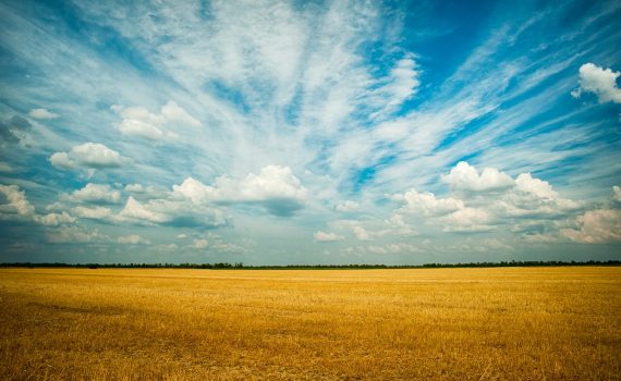 photo of grass field