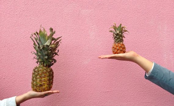 two people holding pineapple fruit on their palm